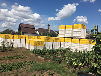 Газобетон КОТТЕДЖ D400 В2.0 600х300х250